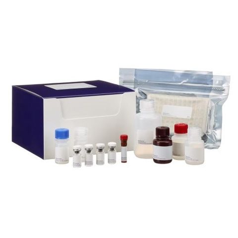 TNF Alpha ELISA Kit: Complete Guide to Principles, Applications, and Laboratory Analysis