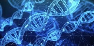 Cell Sequencing Explained: Methods, Applications, and Research Insights