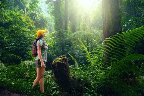 Explore Eco-Tourism Vacations